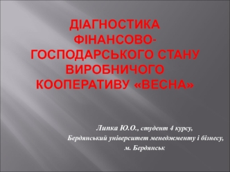 Діагностика фінансово-господарського стану виробничого кооперативу Весна