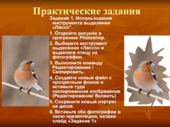 Практические задания для Adobe Photoshop CS2