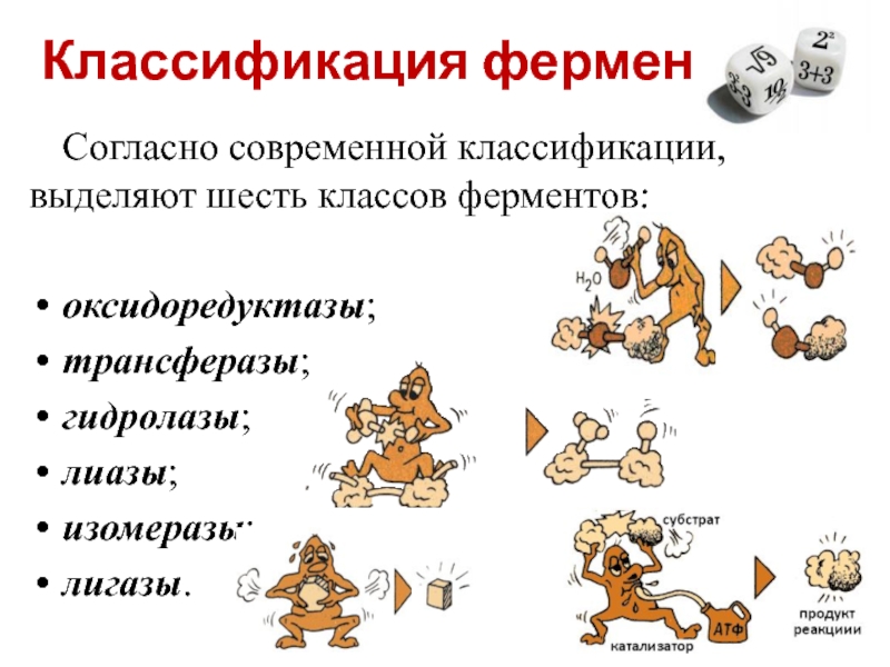 6 классов ферментов. Классификация ферментов оксидоредуктазы трансферазы. Трансферазы подклассы. Выделяют 6 классов ферментов. Оксидоредуктазы, изомеразы, трансферазы, гидролазы, ЛИАЗЫ -.