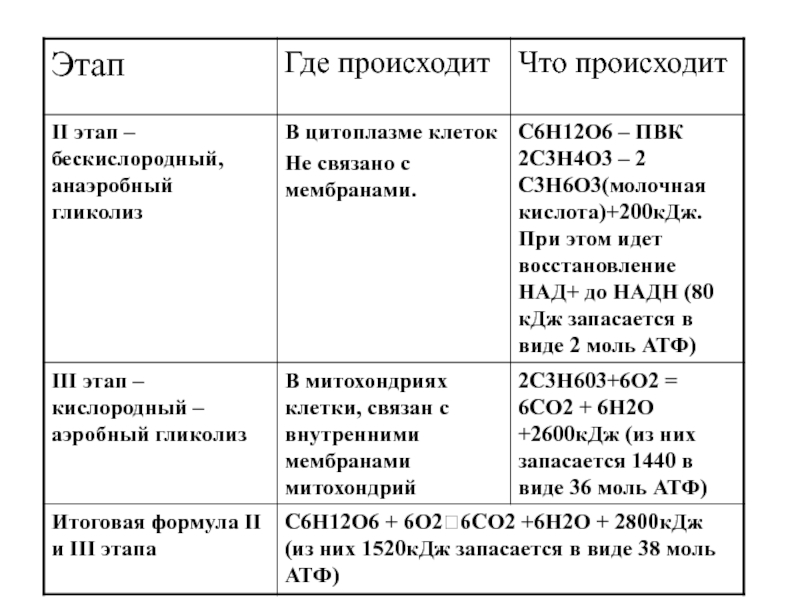 Прочитайте статью в рубрике это интересно предложите схему отражающую биологическое окисление клетке