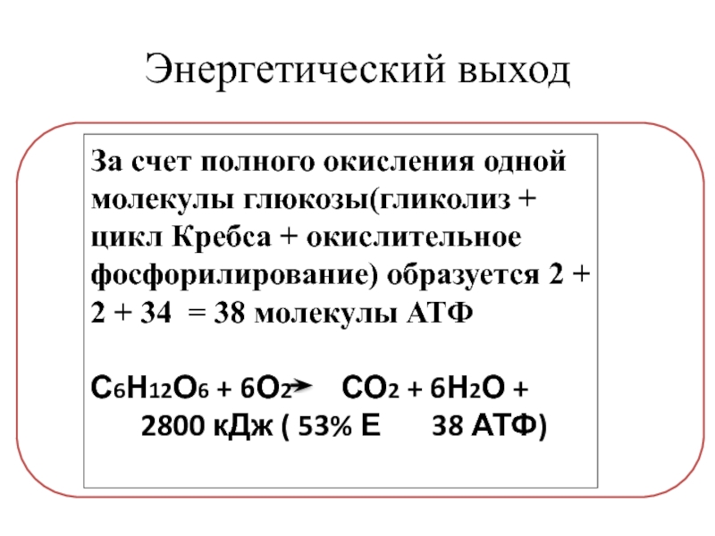 Окисление 1 молекулы глюкозы