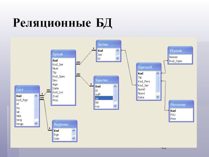 Примеры баз данных юридические