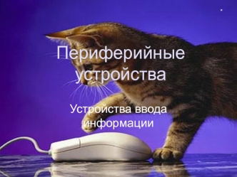 Периферийные устройства. Устройства ввода информации