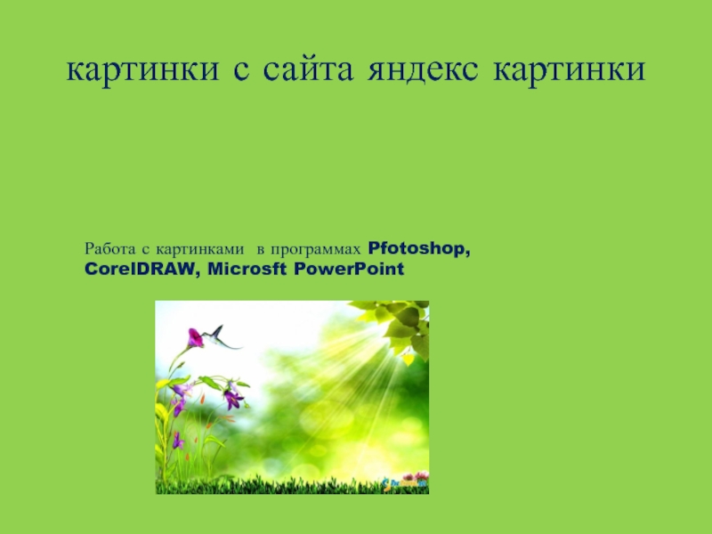картинки с сайта яндекс картинкиРабота с картинками в программах Pfotoshop, CorelDRAW, Microsft PowerPoint