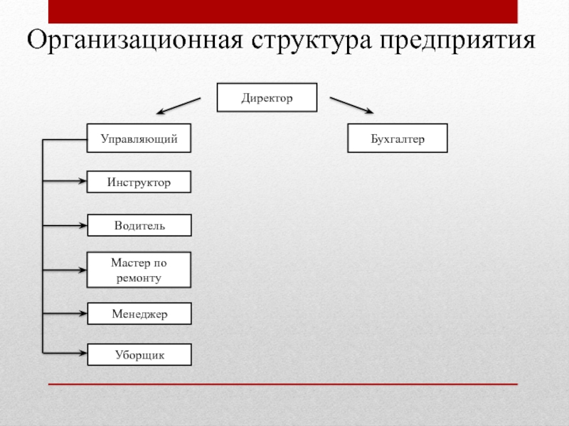 Директор Организационная структура предприятия