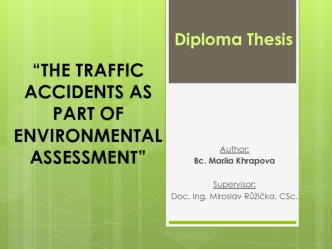 The traffic accidents as part of environmental assessment