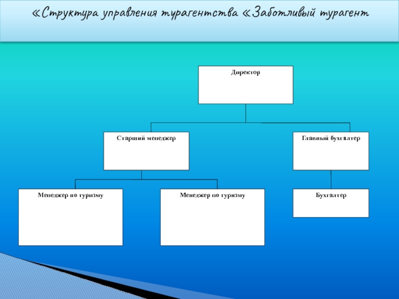 Схема структуры турфирмы