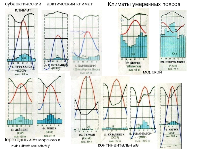 Диаграмма умеренного пояса