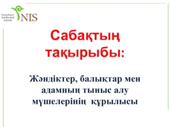 Жәндіктер, балықтар мен адамның тыныс алу мүшелерінің құрылысы