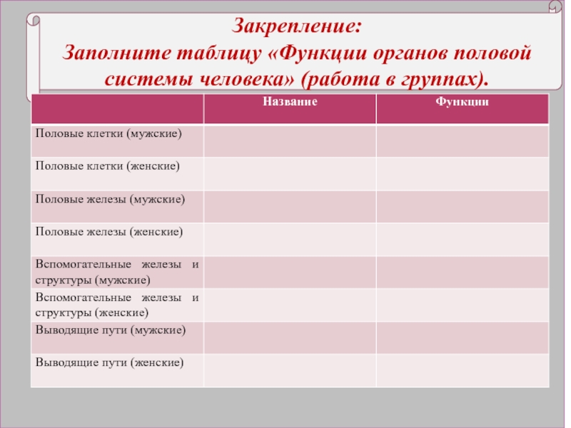 Строение и функции репродуктивной системы 8 класс презентация