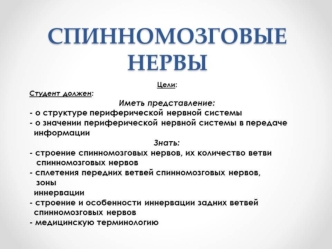 Спинно-мозговые нервы