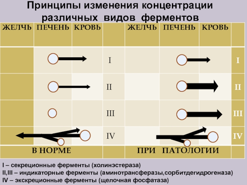 Принцип изменения. Виды ферментов индикаторные. Принцип изменение концентрации. Изменения индикаторных ферментов.