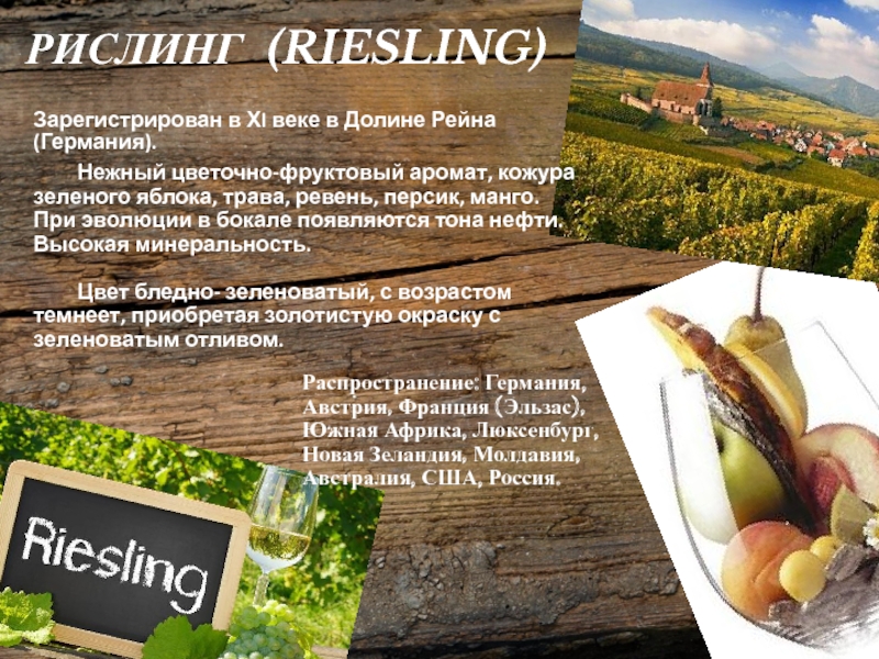РИСЛИНГ (RIESLING) Зарегистрирован в ХI веке в Долине Рейна (Германия).  	Нежный цветочно-фруктовый аромат, кожура зеленого яблока,