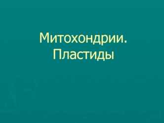 Митохондрии. Пластиды