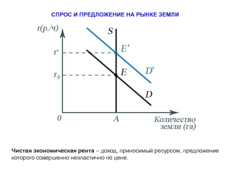 Спрос на рынке в экономике. Рынок земли и земельная рента в экономике. Чистая экономическая рента график. Спрос и предложение на рынке земли график. Рынок земли рента в экономике это.