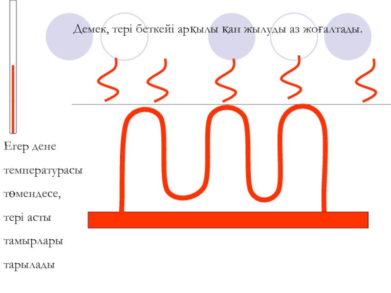 Дене температурасы