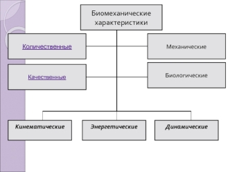 Биомеханические характеристики