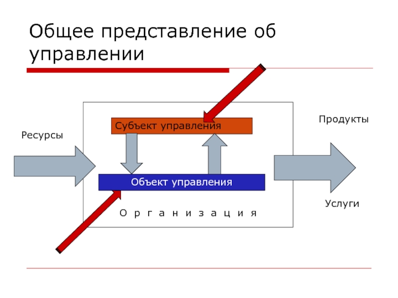 Дать общее представление