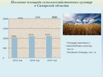 Посевные площади сельскохозяйственных культур в Самарской области