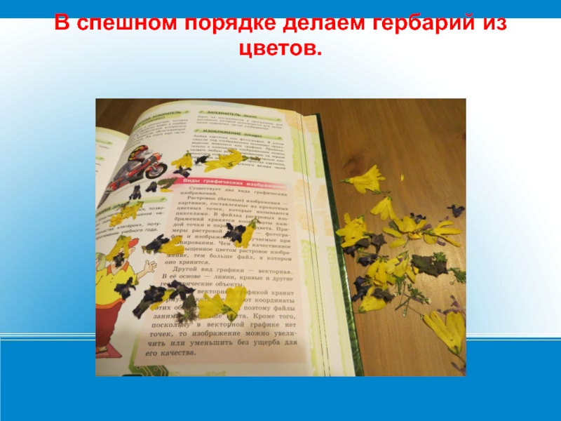 Создание бумаги и книги 4 класс