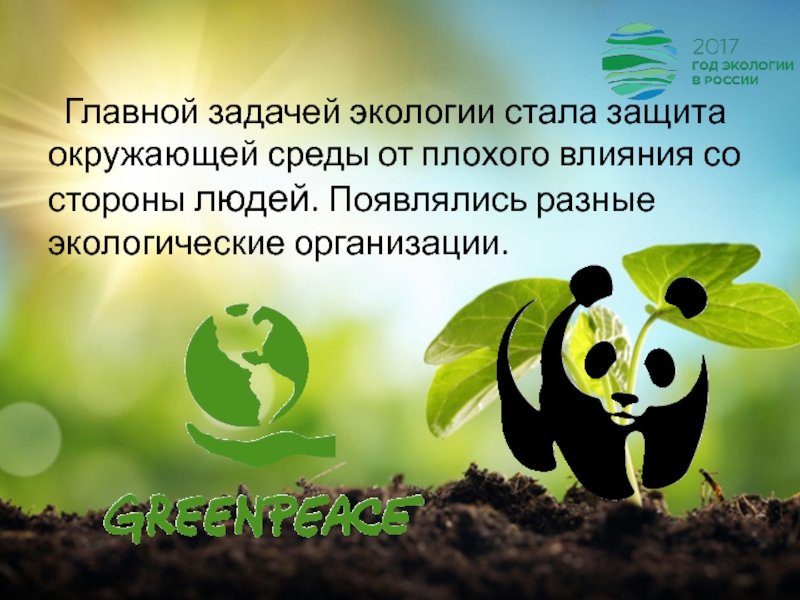 Задачи экологических организаций