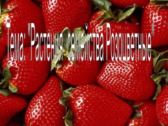 Семейство розоцветные