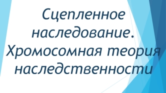 Сцепленное наследование. Хромосомная теория наследственности