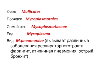 Класс Mollicutes