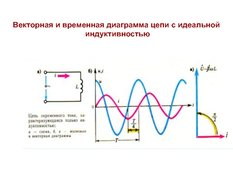 Векторная диаграмма индуктивность. Векторная диаграмма катушки индуктивности в цепи переменного тока. Временная диаграмма напряжения и тока на катушке. Цепь переменного тока с индуктивностью Векторная диаграмма. Цепь синусоидального тока с идеальной катушкой индуктивности.