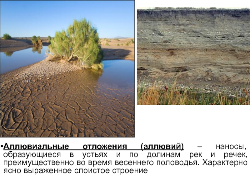 Фото аллювиальные отложения