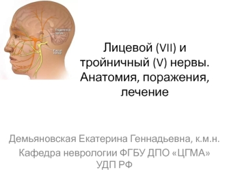 Лицевой (VII) и тройничный (V) нервы. Анатомия, поражения, лечение