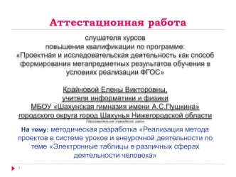 Аттестационная работа. Электронные таблицы в различных сферах деятельности человека