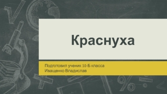 Краснуха