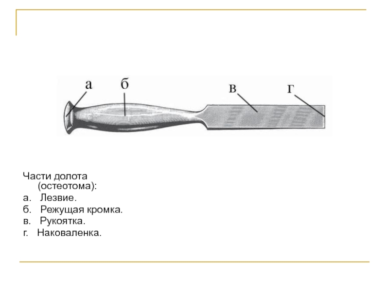 Части стамески криминалистика схема