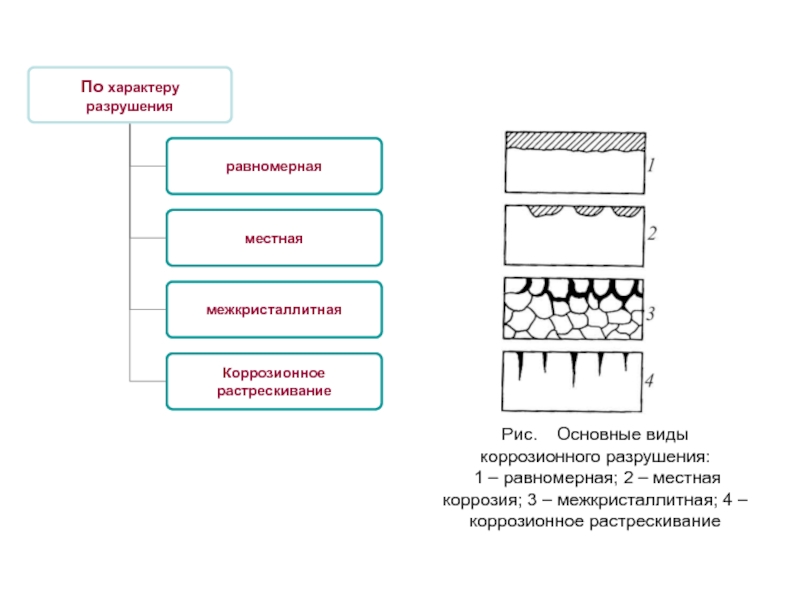 Схема коррозионного процесса