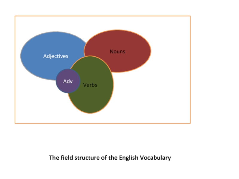 The field structure of the English Vocabulary  Adjectives Nouns Verbs  Adv