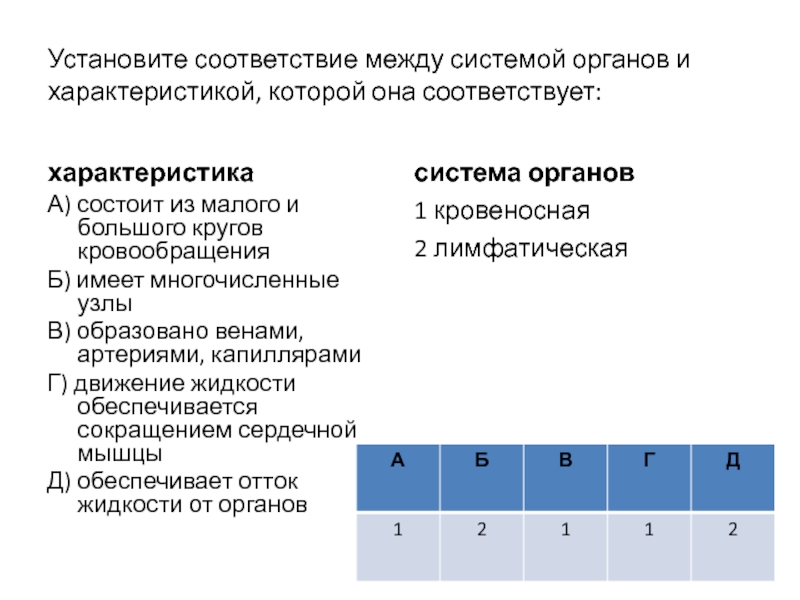 Установите между характеристиками. Установите соответствие между органами и системами органов. Установите соответствие между системой органов и ее функцией. Установите соответствие система органов орган. Установите соответствие между системой органов и их.