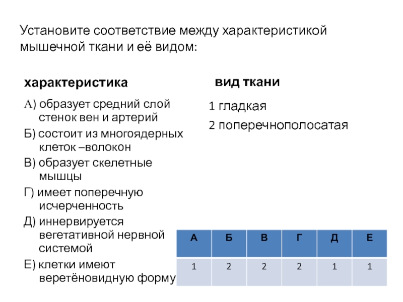 Установите соответствие характеристики тканей. Установите соответствие между видами мышечной ткани. Соответствие между типом мышечной ткани и ее характеристиками. Установите соответствие между характеристикой мышечной ткани. Установите соответствие между характеристикой мышечной ткани видом.