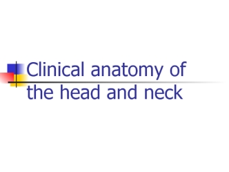 Clinical anatomy of the head and neck