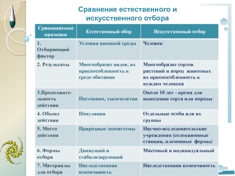 Естественный и искусственный отбор презентация