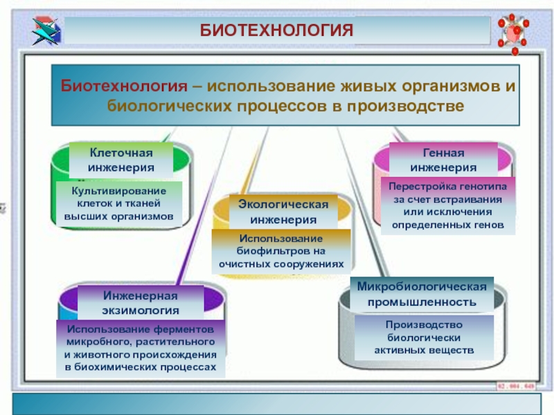 Методы биотехнологии схема