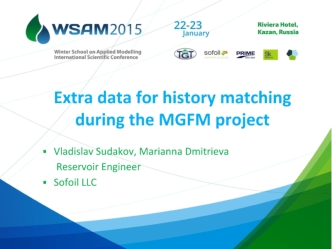 Extra data for history matching during the MGFM project