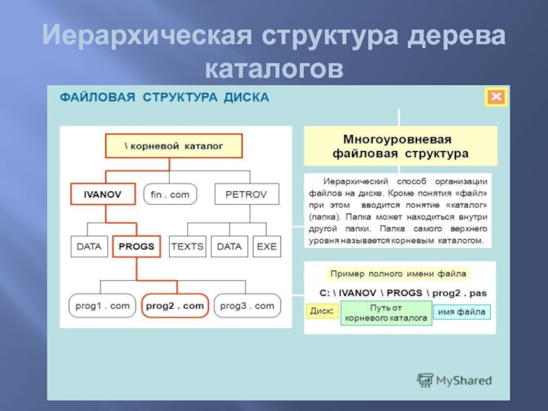 Структура любой. Иерархическая структура дерево. Иерархическая структура can. Иерархическая структура магазина. Иерархическая структура сайта пример.