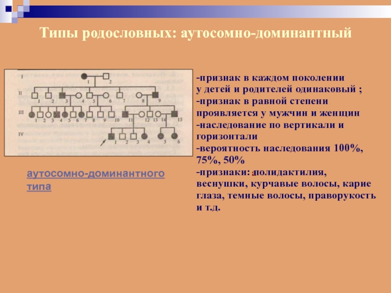 Признаки независимого аутосомного наследования генов. Родословная с аутосомно-доминантным типом наследования. Критерии аутосомно-доминантного типа наследования. Аутосомный доминантный признак. Родословные аутосомно доминантный признак.