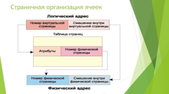 Сегментно-страничная организация ячеек. Организация памяти