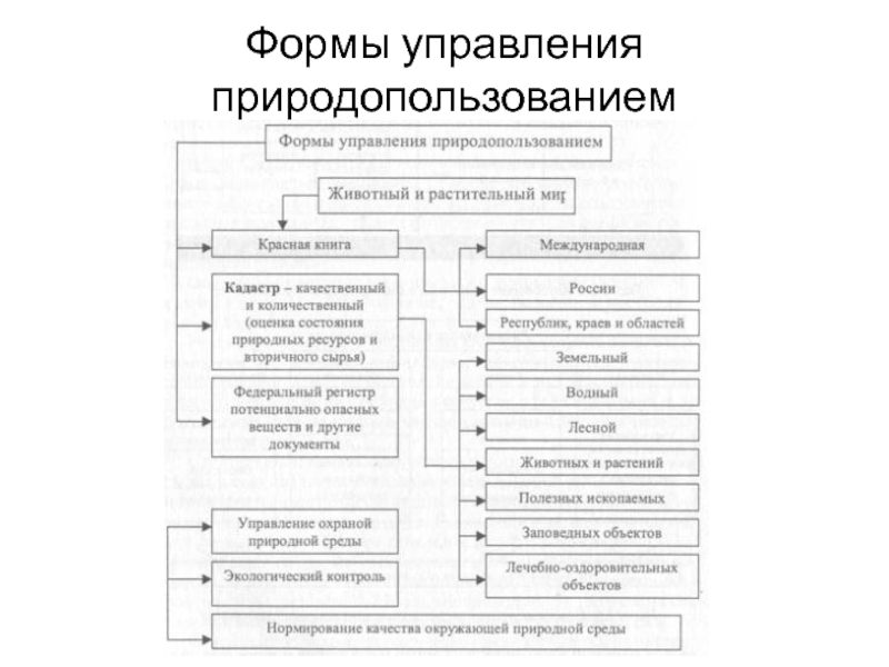 Управление природопользованием