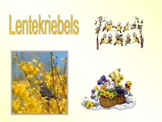 Lentekriebels