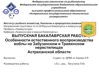 Особенности естественного воспроизводства воблы на Забузанском и Травинском нерестилищах Астраханской области