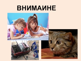 Внимание. Основные характеристики внимания