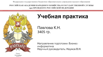 Российская академия народного хозяйства и государственной службы. Учебная практика. Бизнес-информатика